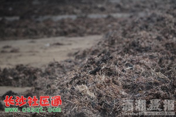 xxcb20150113_016.jpg